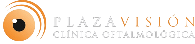 Plaza Vision